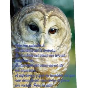 Meet your Posher, Adriana leonardo